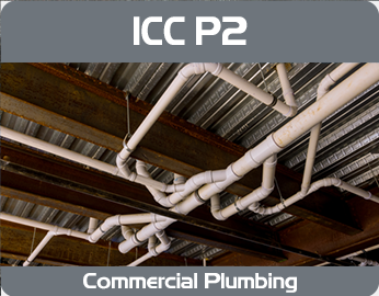 ICC P2 Online Training Course